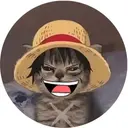 LUFICAT