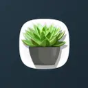 SUCCS