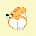 CORGILIFE