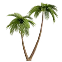 GYB