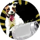 JackKegs