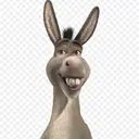 DONKEY