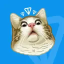 CatTG