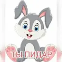 PIDAR