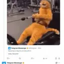 FTT