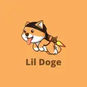 LilDoge