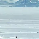 TIM