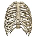 BRONIK