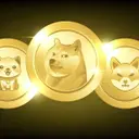 GOLDCOIN