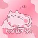 PUSHCAT