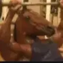 gigahorse