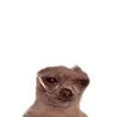 $TOK