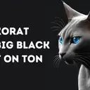 KORAT