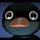 NOOT
